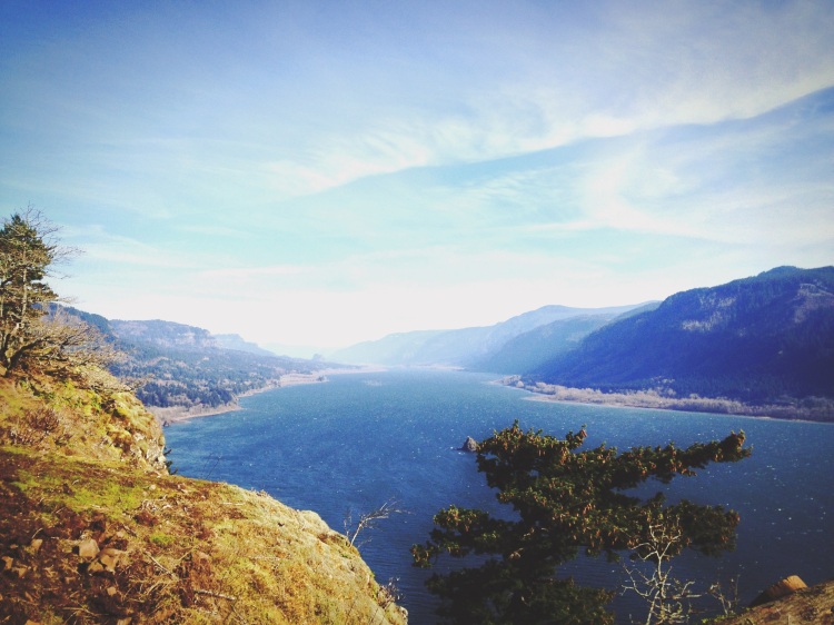 Cape Horn hike viewpoint