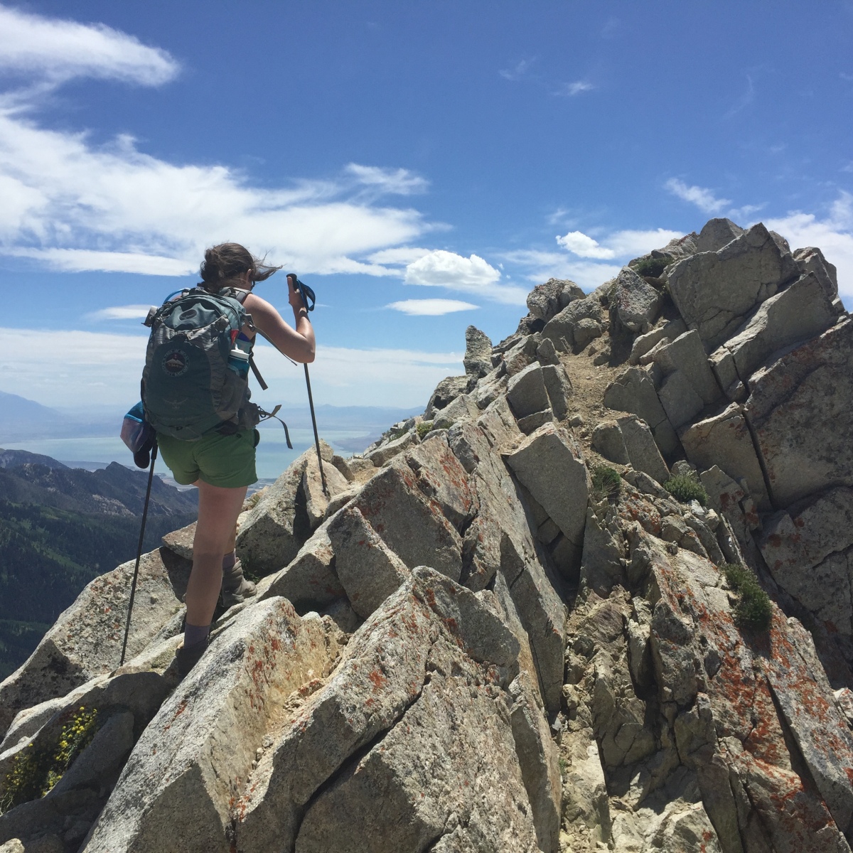 Scaling to the Summit of Pfeifferhorn Peak